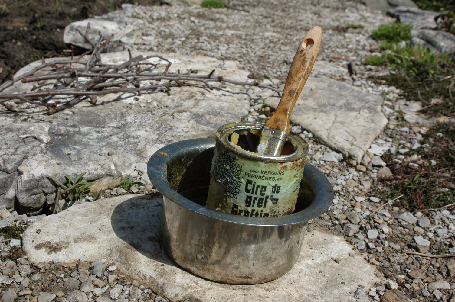 Roche Fleurie Garden: Grafting